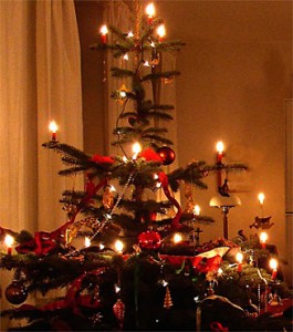Weihnachtsbaum, hell erleuchtet