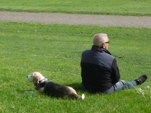 Mann mit Hund auf einer Wiese