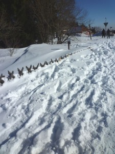 Jägerzaun guckt nur noch mit Spitzen aus dem Schnee