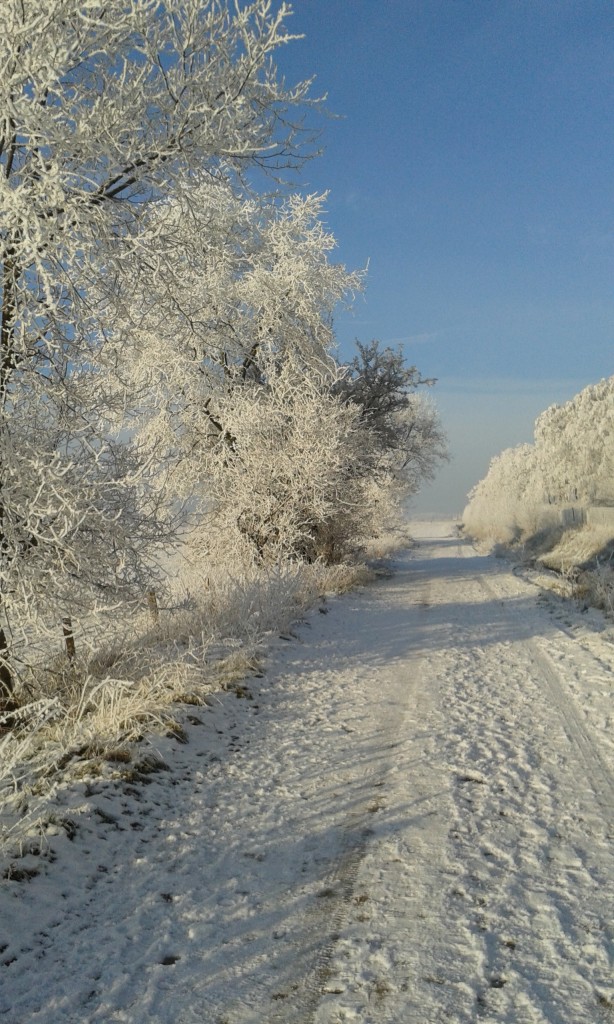 Winterimpressionen Verschneite Straße