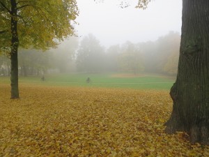 Herbstlicher Park im Nebel mit Fahrrädern