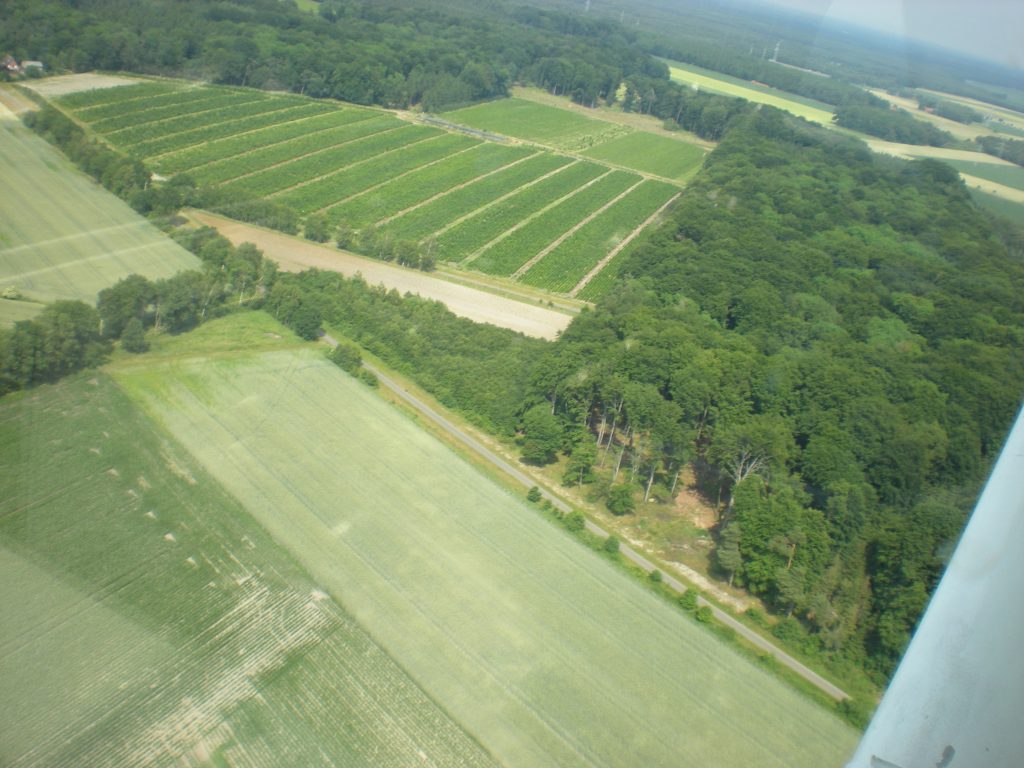 Luftaufnahme von Feldern und Waldstücken